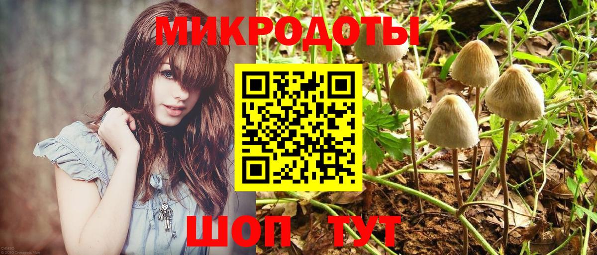 Псилоцибиновые грибы Psilocybine cubensis Нурлат